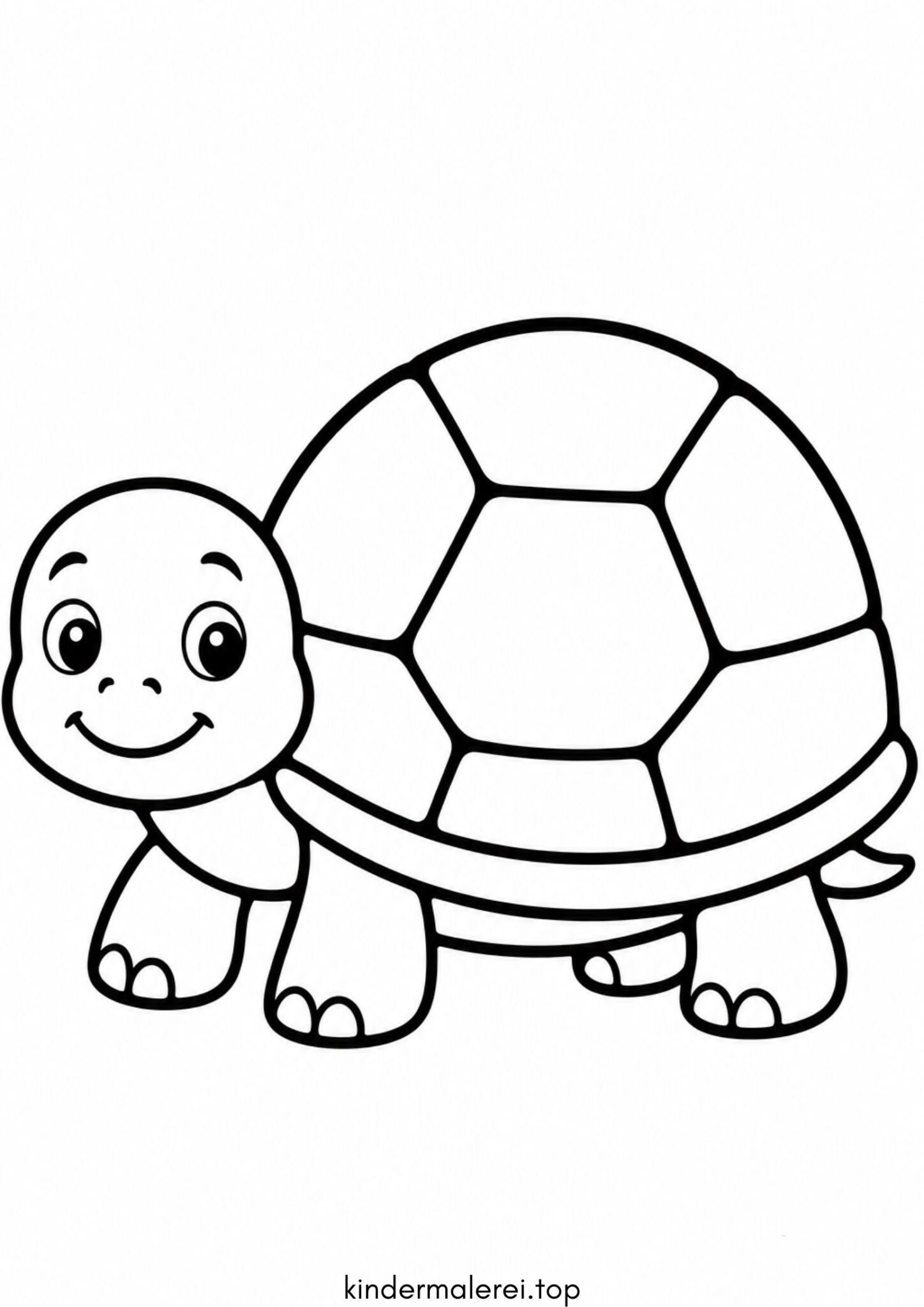Ausmalbild zum Ausdrucken Einfache Schildkröte