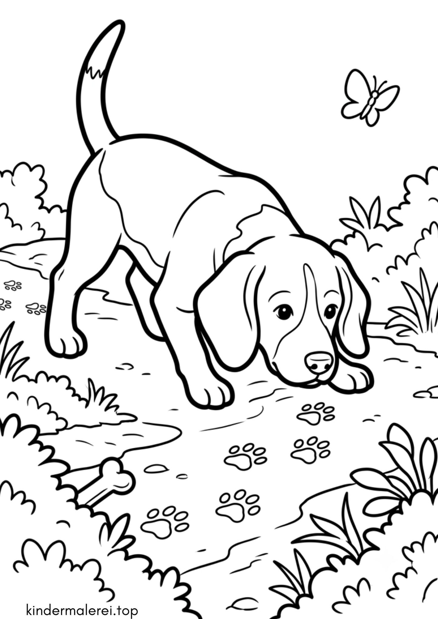 Ausmalbild zum Ausdrucken Beagle