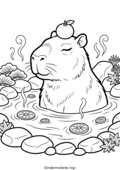 Capybara mit Orange