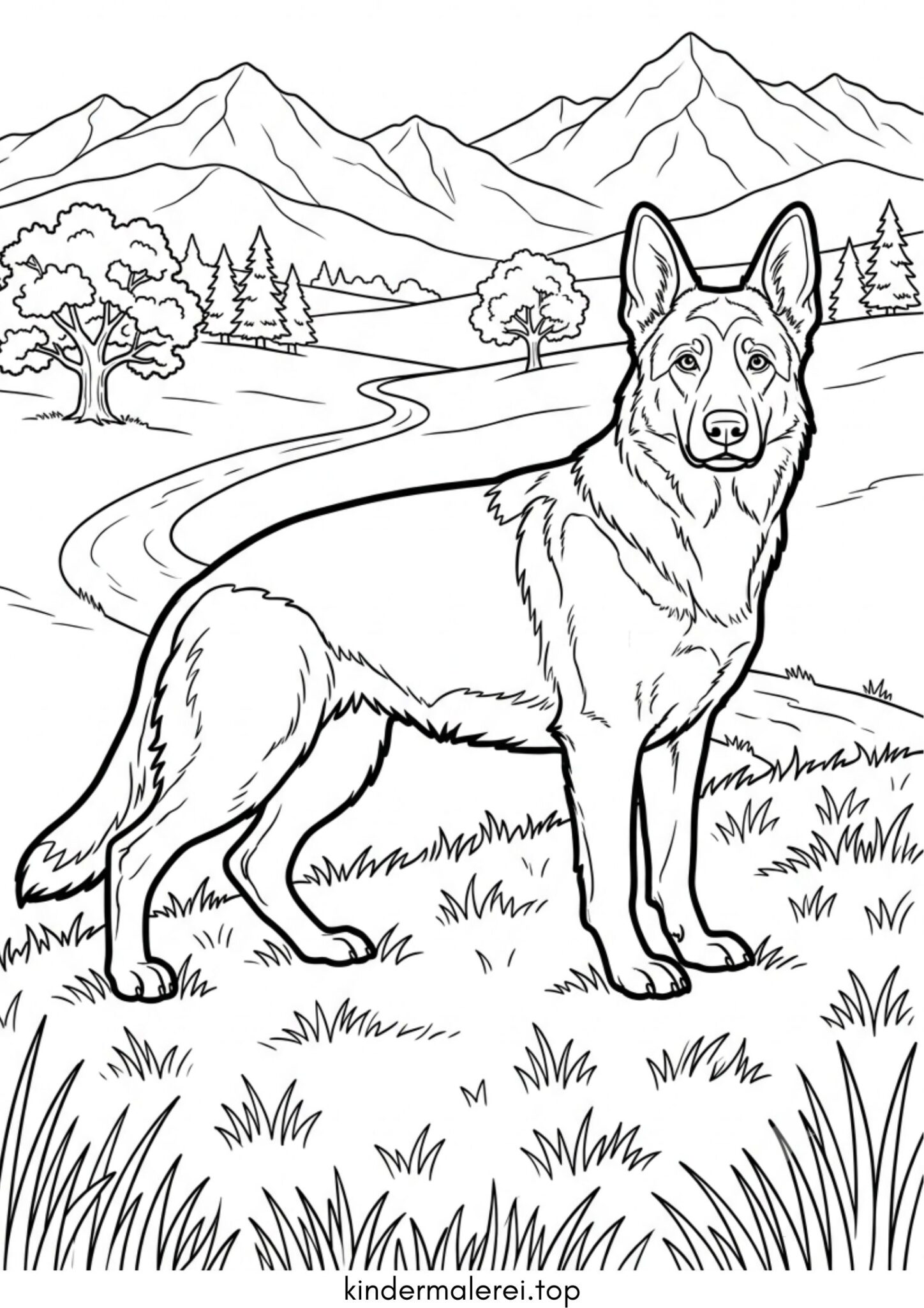 Ausmalbild zum Ausdrucken Deutscher Schäferhund