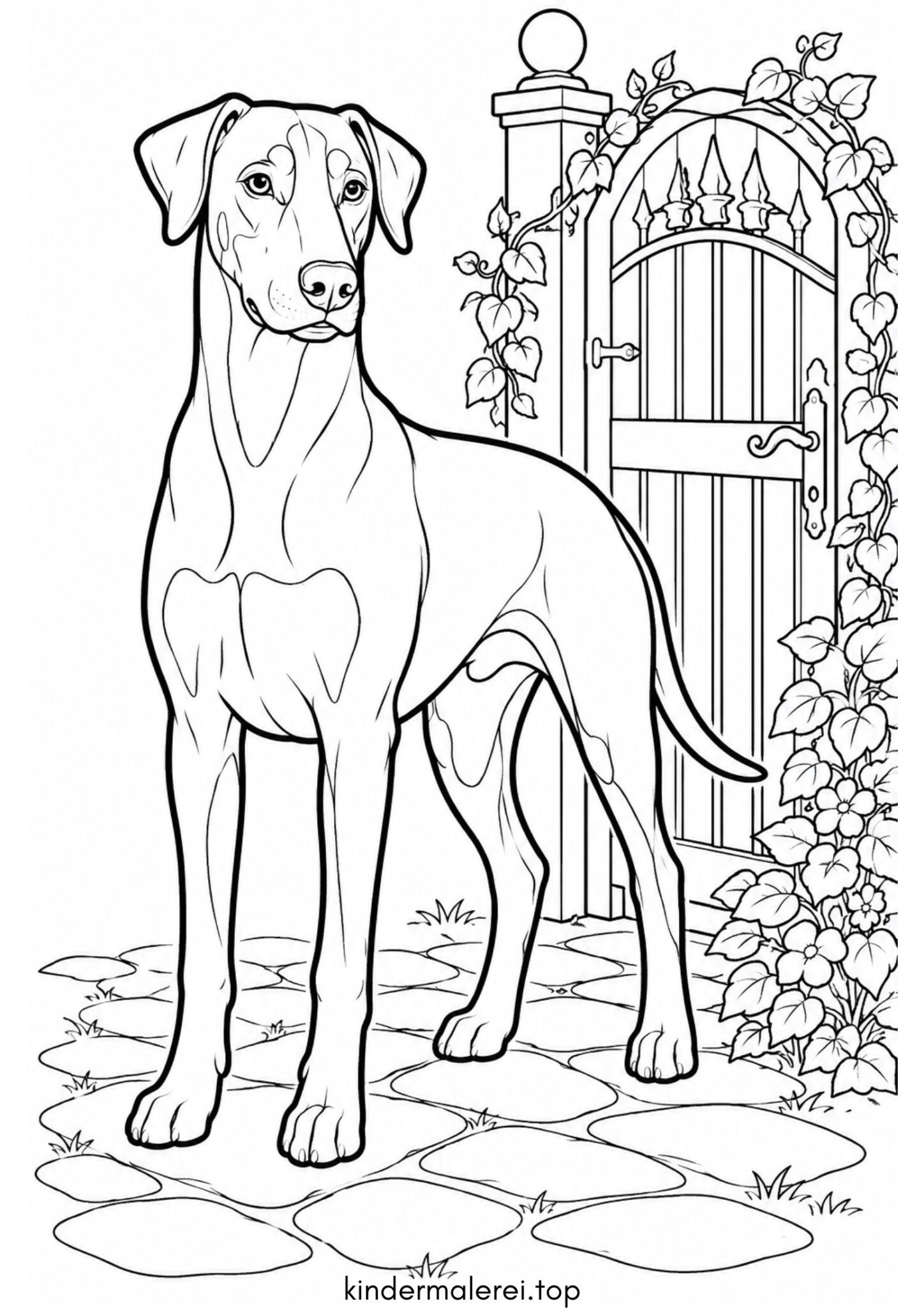 Ausmalbild zum Ausdrucken Dobermann